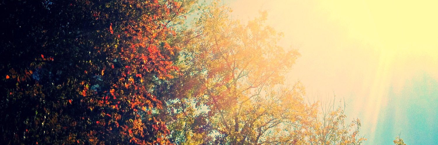 tesha_sellll's profile banner image