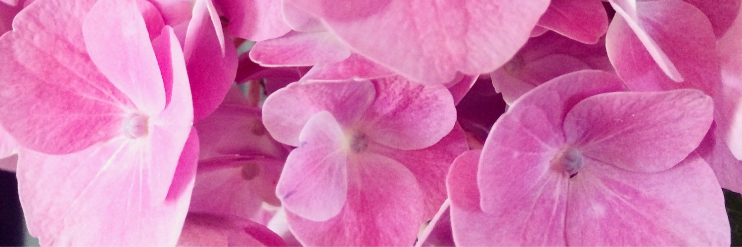 AliceSenechal's profile banner image