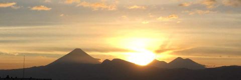 paodii's profile banner image