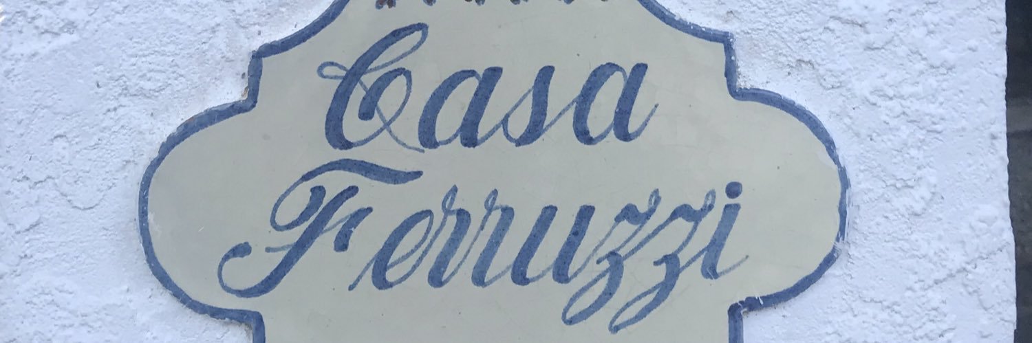 Zaida C. Ferruzzi banner