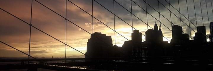 LuzaRenato's profile banner image