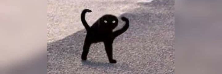 putadeantifa's profile banner image