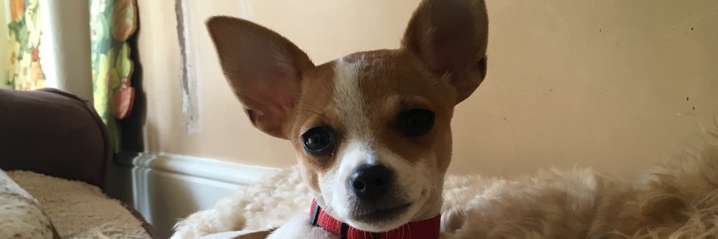 vickibutler_'s profile banner image