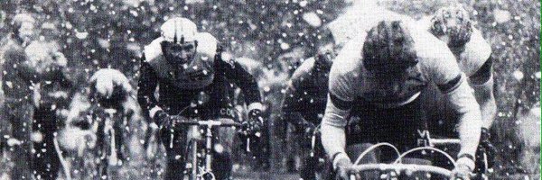 netludi Profile Banner