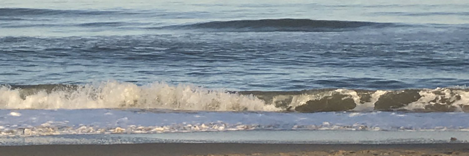 VSLA Virginia Beach Chapter banner