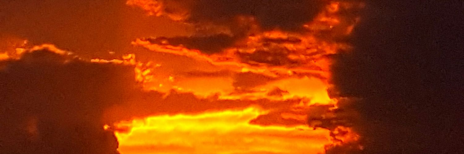 perrypines's profile banner image