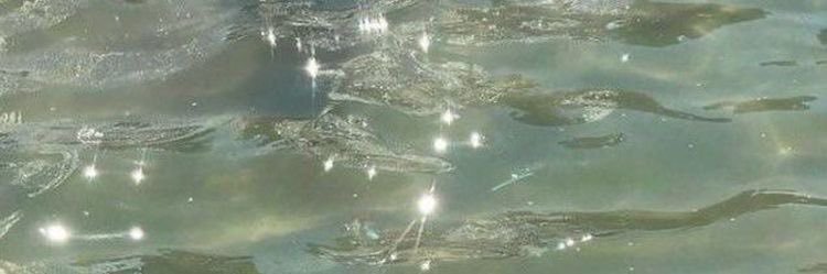 wejdan ⋆˖ ࣪⭑ banner