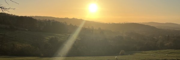 catxdavies Profile Banner