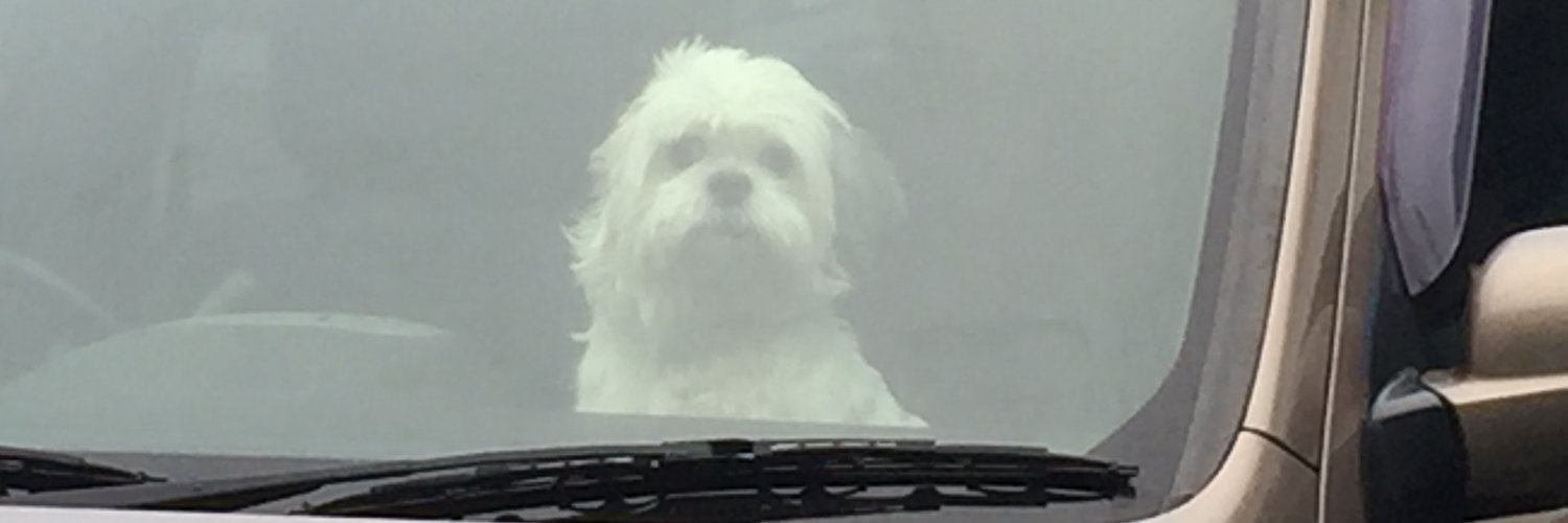 LikeAVHSTape's profile banner image