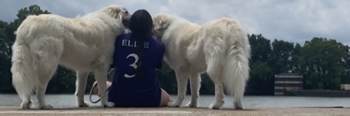 EllieTreanton's profile banner image