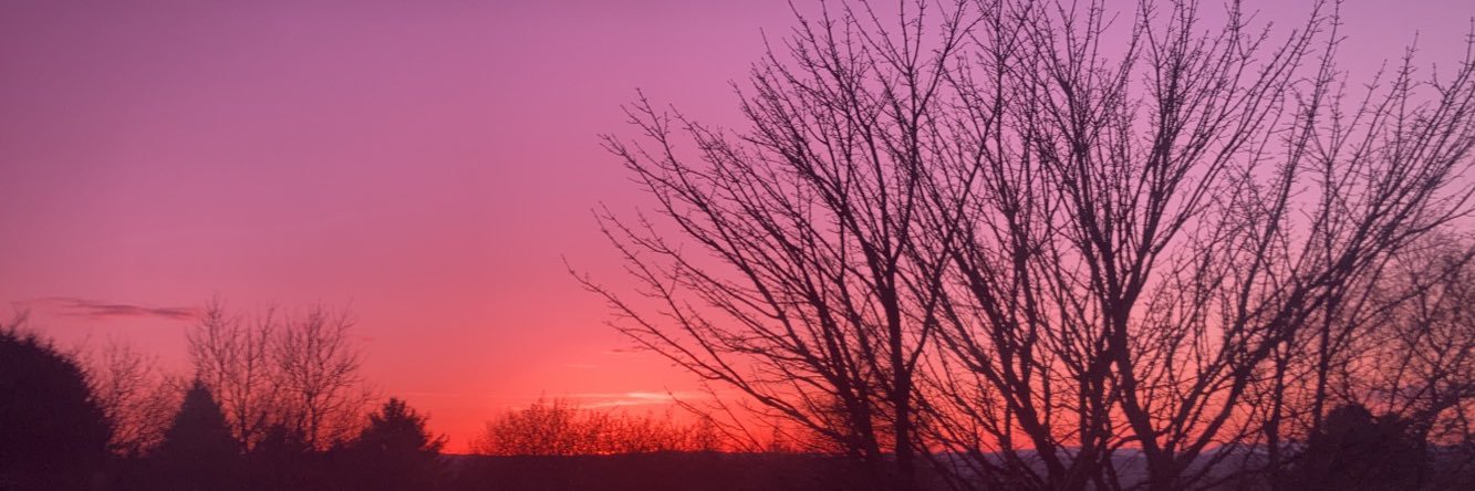 Lauradillon667's profile banner image