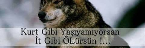 burakyildirim46's profile banner image