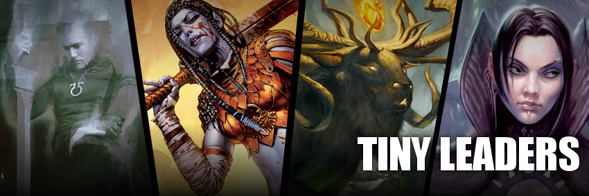 TinyLeaders's profile banner image