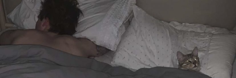 RypDaddy's profile banner image