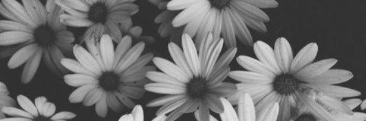 Vernice_93's profile banner image
