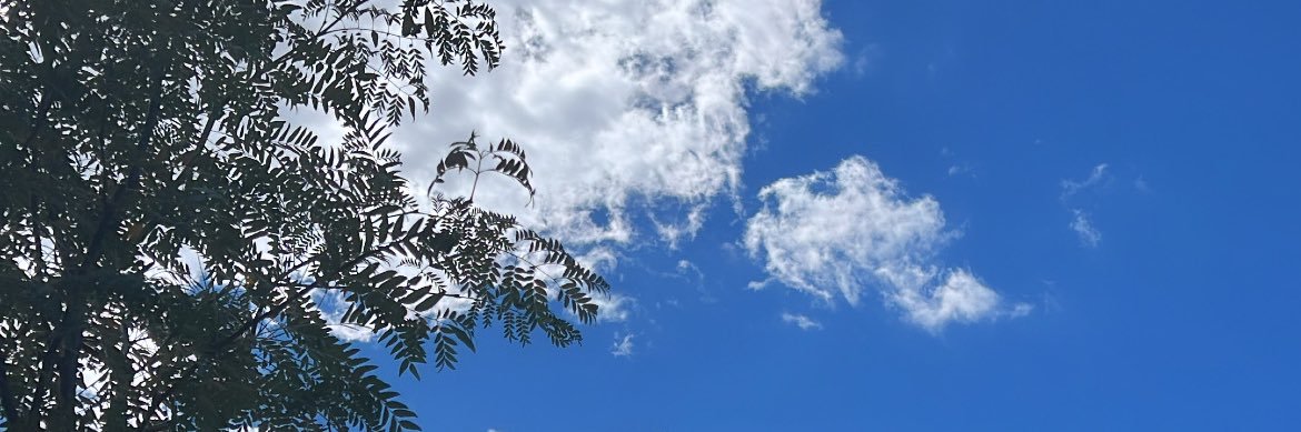 Biubiubiu14's profile banner image