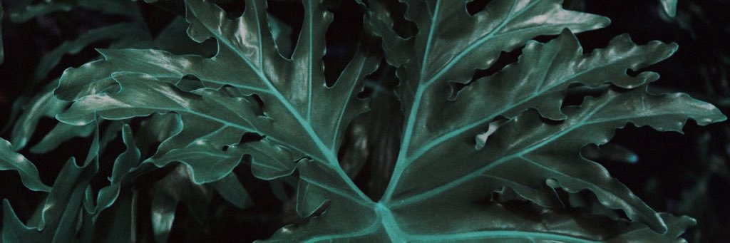 libatedfilm's profile banner image