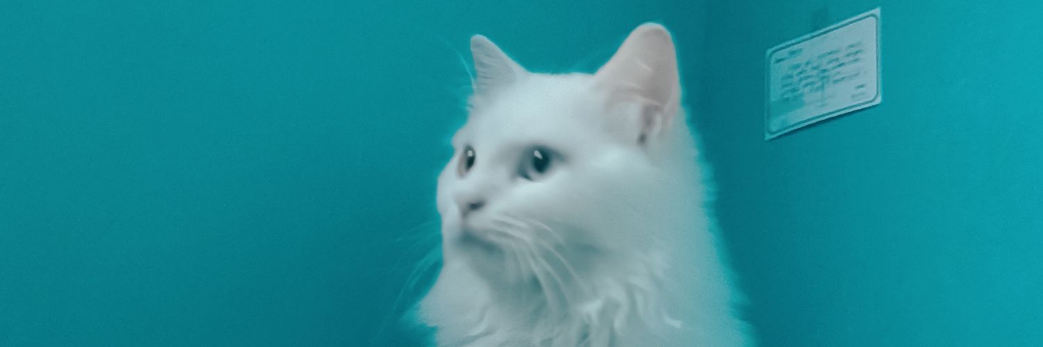 mstrprta's profile banner image