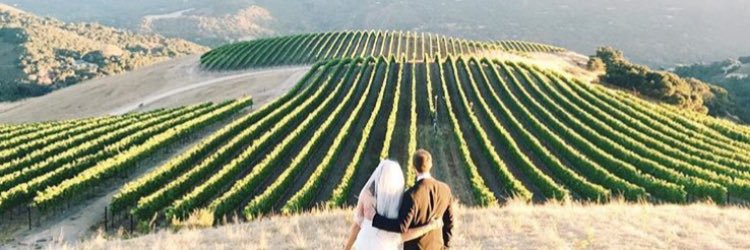 Jerusha Herman Roybal banner