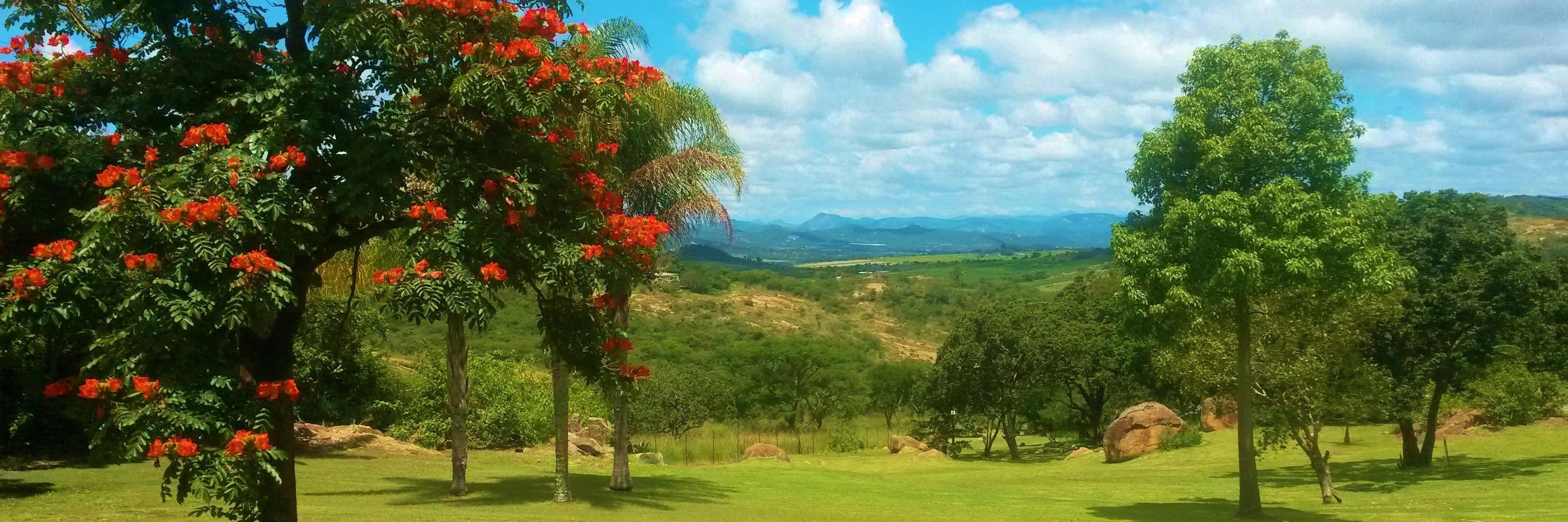 CooksComfortZA's profile banner image