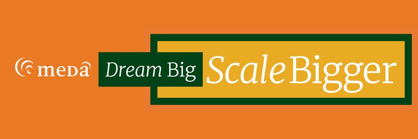 MEDA: Metropolitan Economic Development Assoc. banner