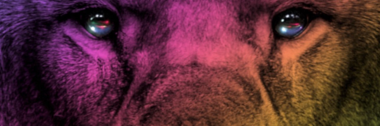 o8jiru's profile banner image