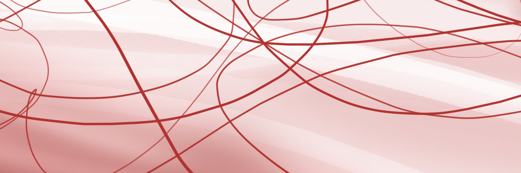 JACCES banner