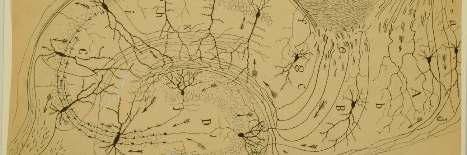 Neurophilosophy Blog banner