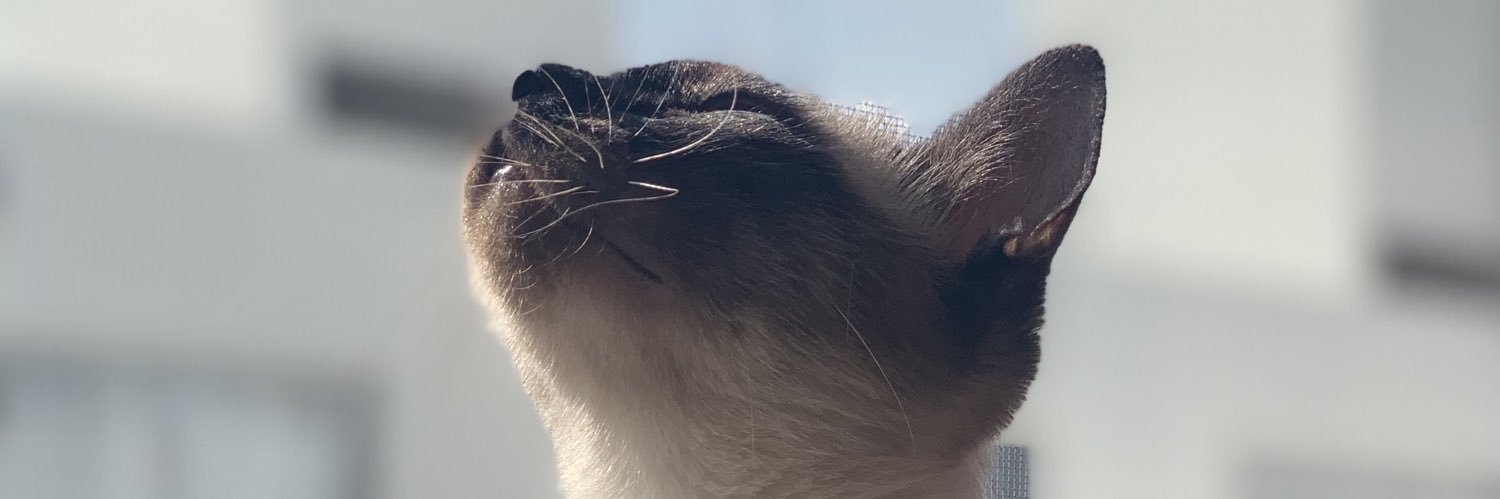 Eve banner