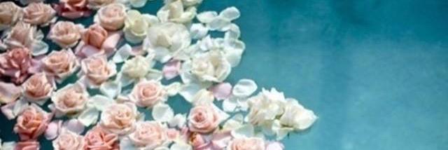 Kristina Anderson banner
