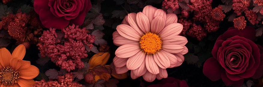 _mamaal's profile banner image