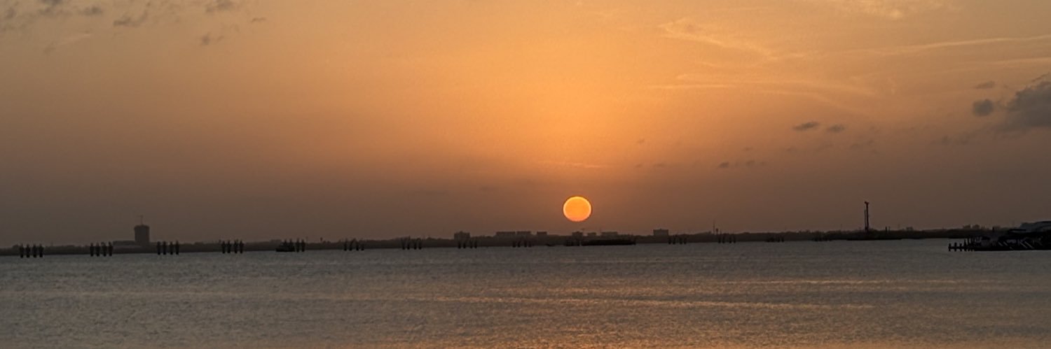 luliifaruggio's profile banner image