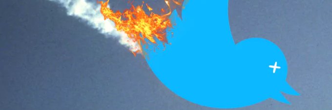 Gray_Tatu 🌻 banner