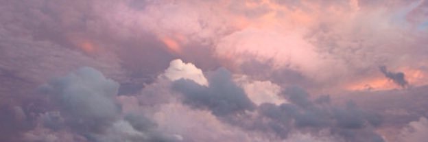 _ass_x's profile banner image