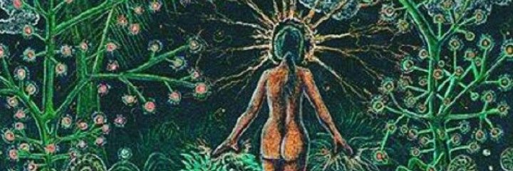 CmlLulico's profile banner image