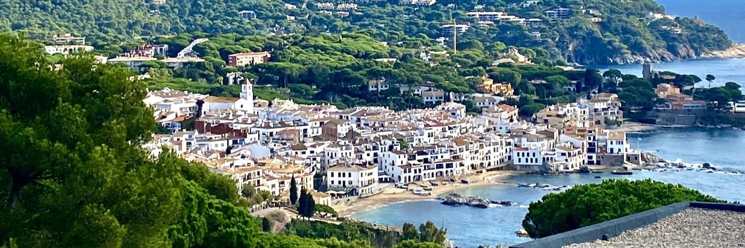 serranovarea's profile banner image