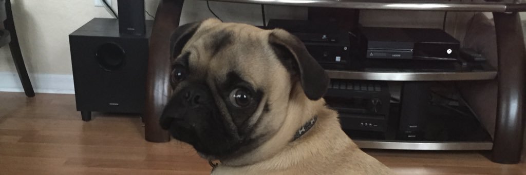 Spiro5114's profile banner image