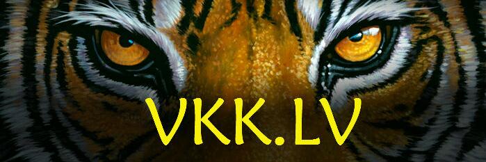 vkk_lv's profile banner image