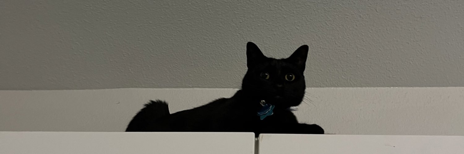 katellint's profile banner image