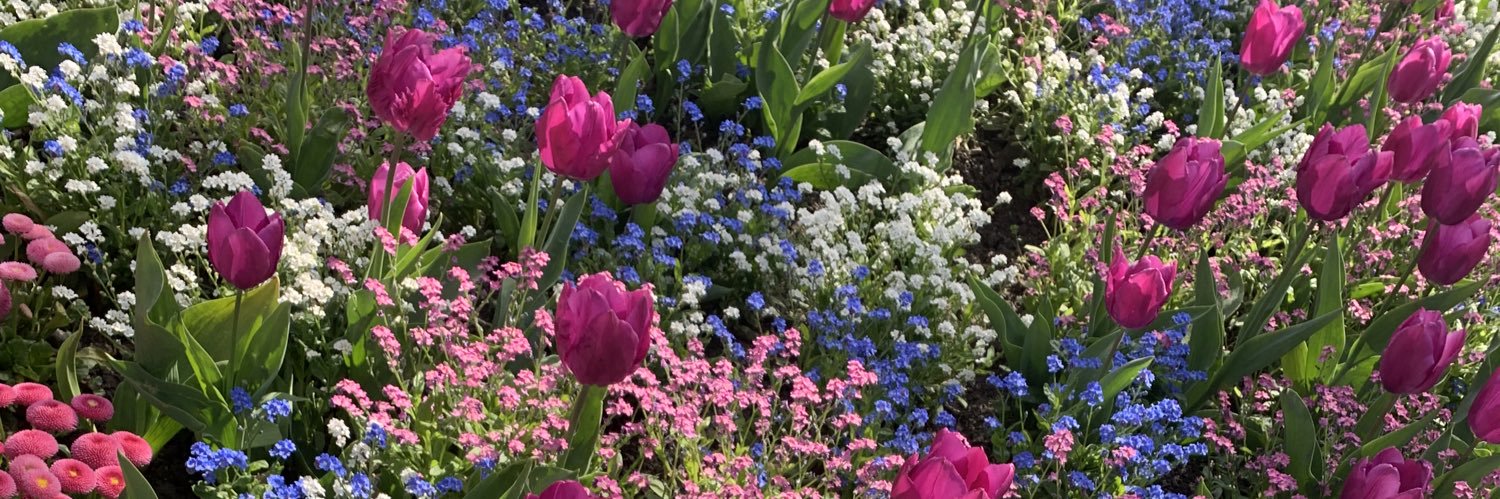 Umaima Haider banner