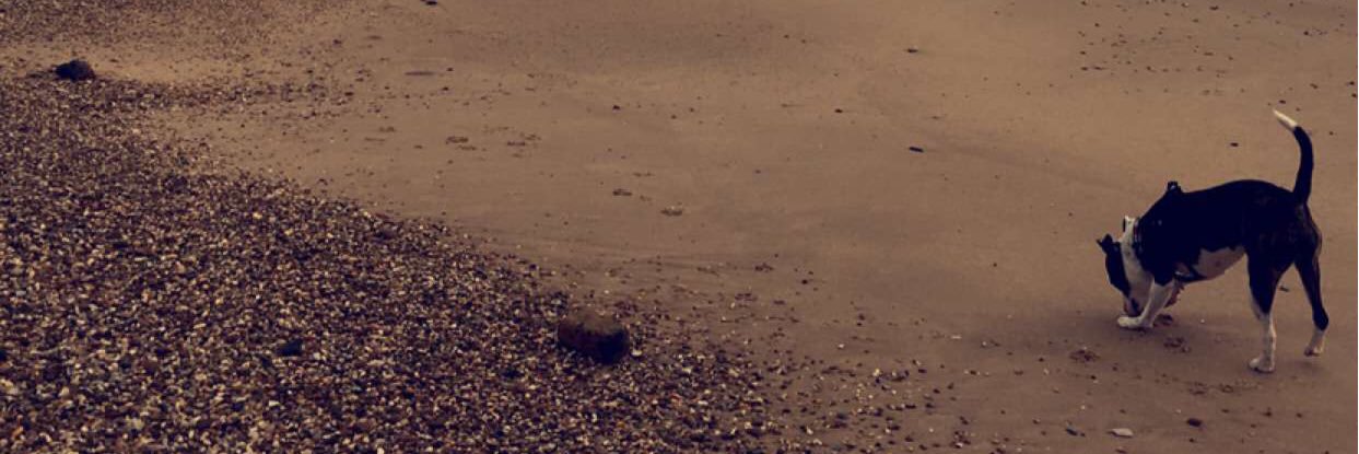 JakeJakekirkham's profile banner image