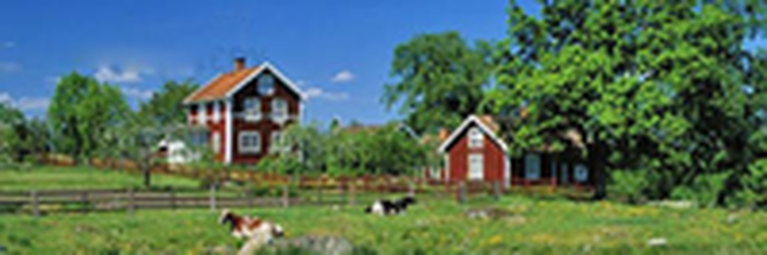 jameshalltv's profile banner image