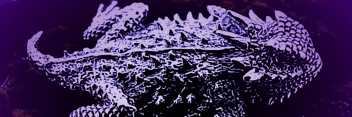 TheTxCz's profile banner image