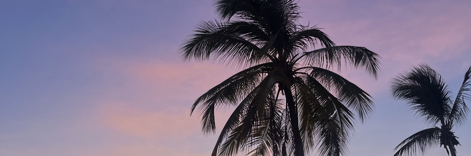 themoonwalkerdt's profile banner image