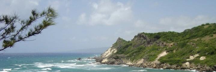 Vanessa Parris Bell banner