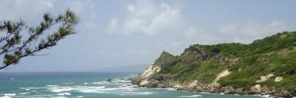 Vannessa_Bell Profile Banner