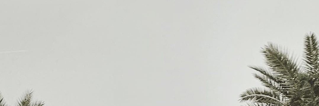 LisaShatalina's profile banner image