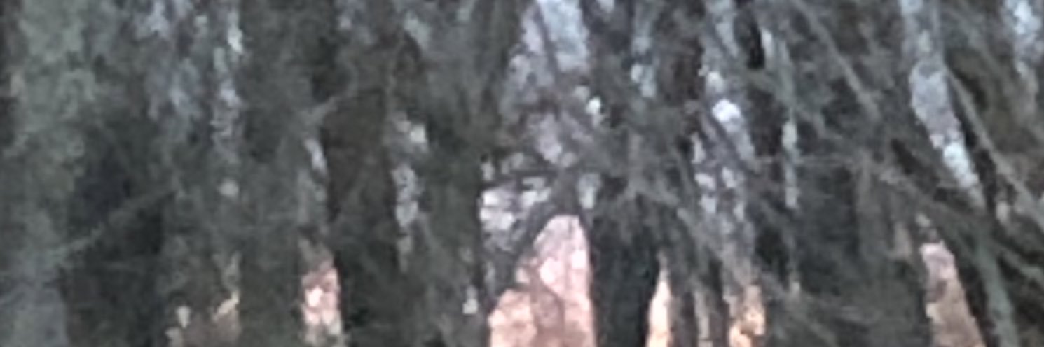 LarryKevin8's profile banner image