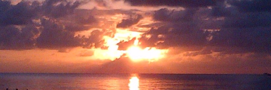 ArtOfReggaeDoc's profile banner image