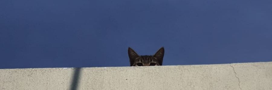 hey_imi's profile banner image